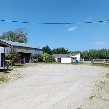 Appartamento Ferme Equestre Oye-Plage Esterno foto
