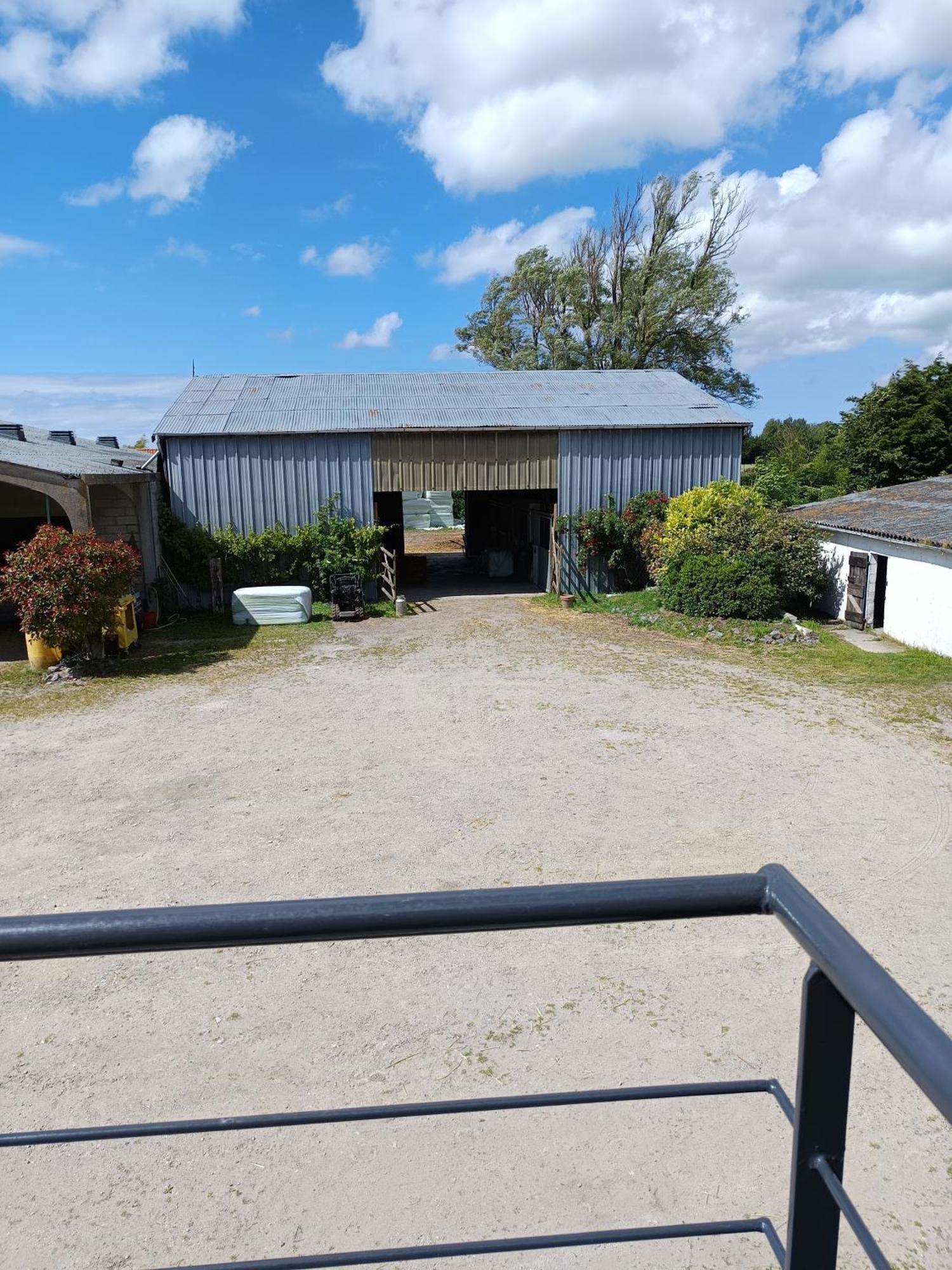 Appartamento Ferme Equestre Oye-Plage Esterno foto