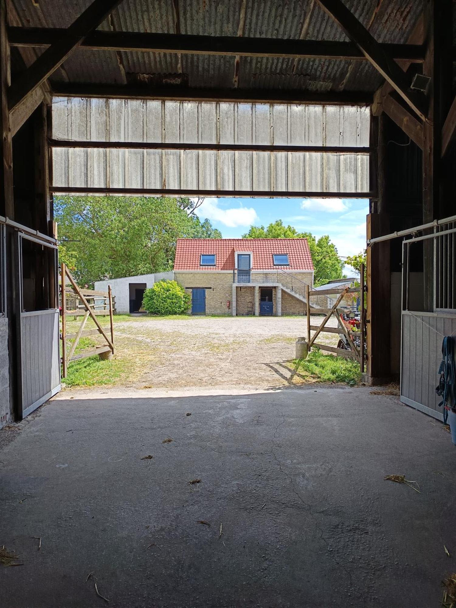 Appartamento Ferme Equestre Oye-Plage Esterno foto